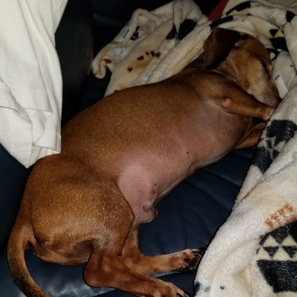 Meet your Posher, Debby